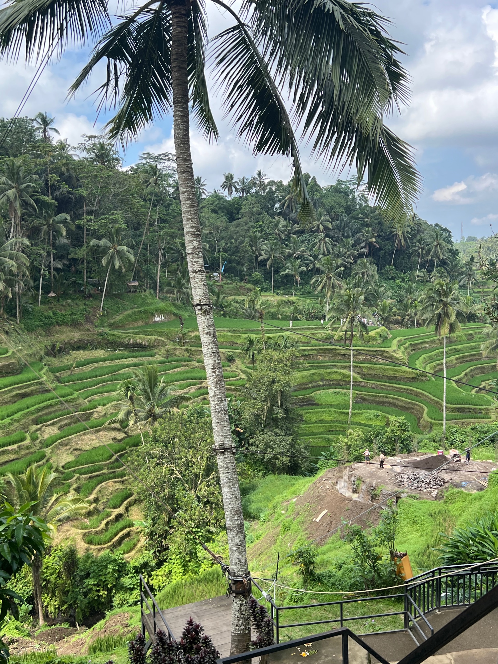 Tegallalang rice terraces in Ubud
