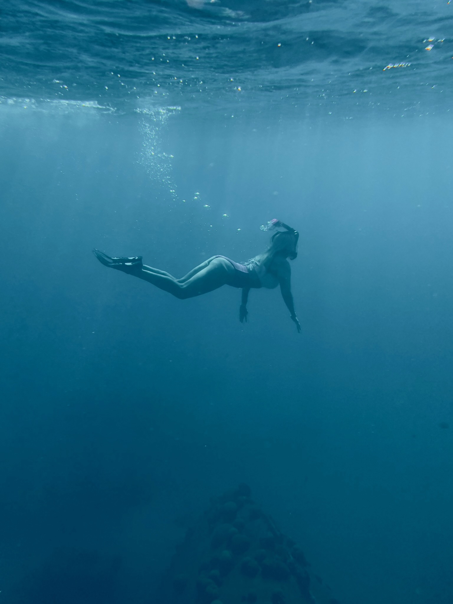 Diving into the deep blue