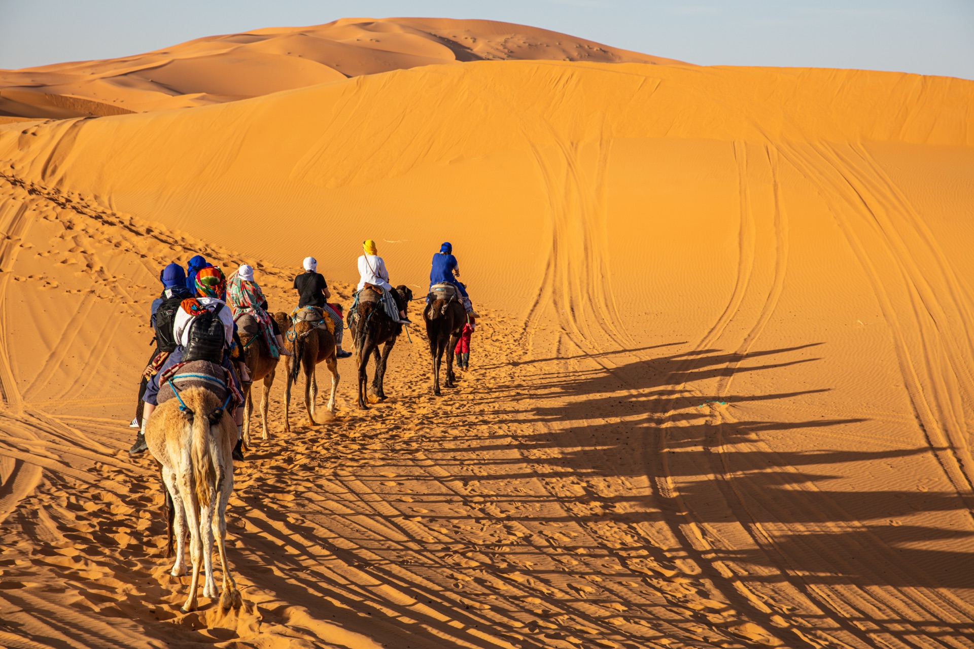 Camel caravan across the Sahara