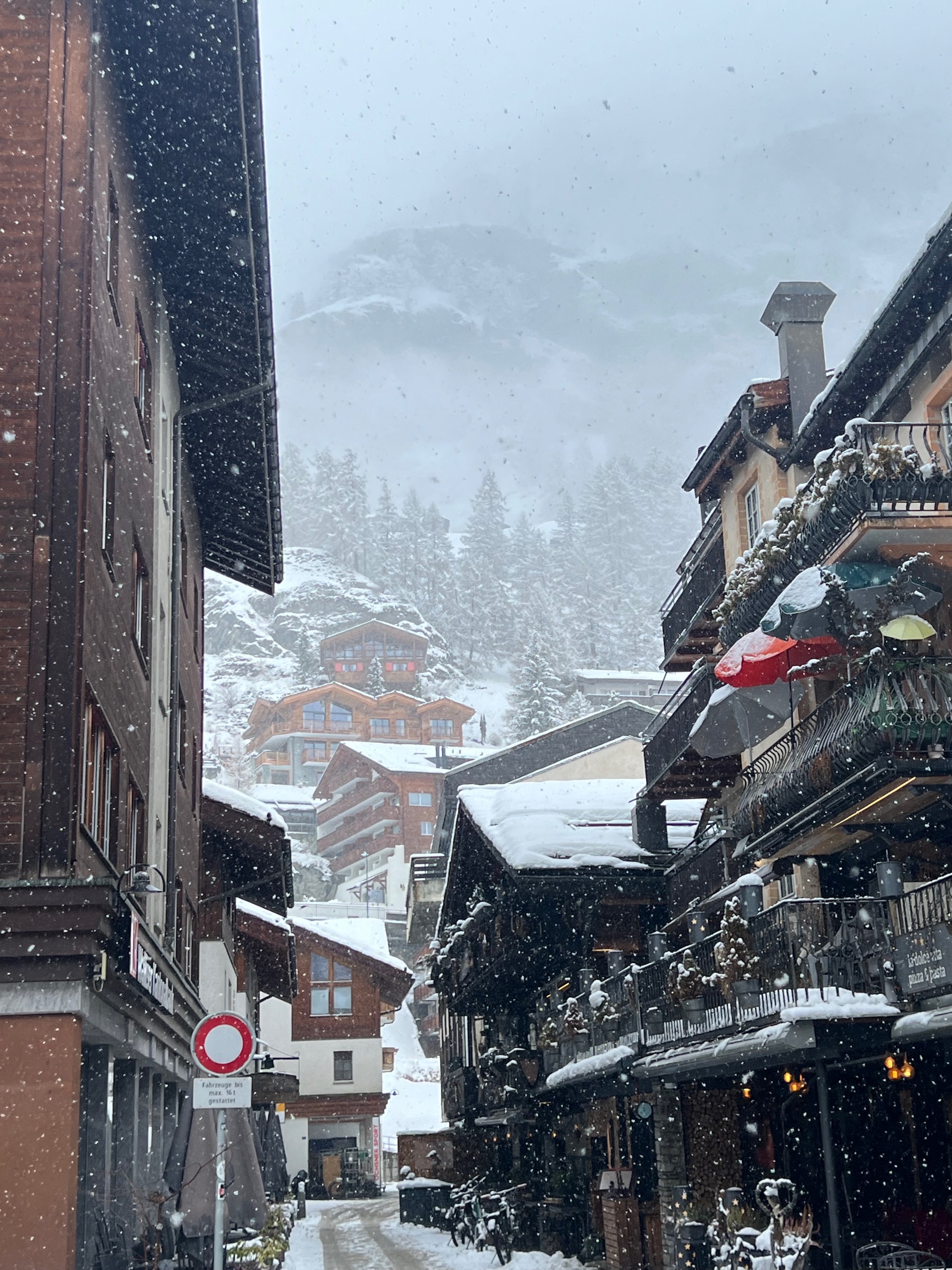 Snowfall in the village